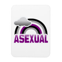 ARC-EN-CIEL ASEXUEL MAGNETS RECTANGULAIRE