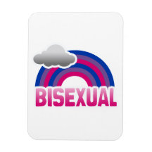 ARC-EN-CIEL BISEXUEL MAGNETS SOUPLES