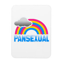 ARC-EN-CIEL PANSEXUAL MAGNETS RECTANGULAIRES