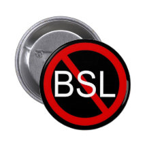 ARRÊTEZ BSL BADGE AVEC ÉPINGLE