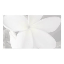 arrière - plan de carte de visite de plumeria