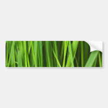 Arrière - plan d'herbe verte adhésifs pour voiture