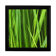 Arrière - plan d'herbe verte boîtes à bijoux