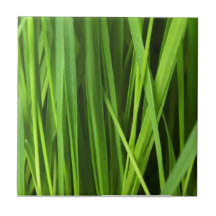 Arrière - plan d'herbe verte carreau en céramique