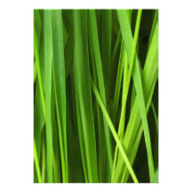 Arrière - plan d'herbe verte cartons d'invitation