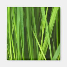 Arrière - plan d'herbe verte magnets