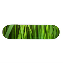 Arrière - plan d'herbe verte skateboards customisés
