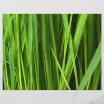 Arrière - plan d'herbe verte prospectus personnalisés