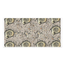 arrière - plan fossile cartes de vœux avec photo