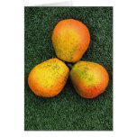 Art 06 de nature cartes de vœux