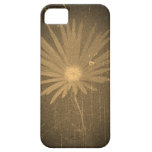 Art abstrait de marguerite vintage coques Case-Mate iPhone 5