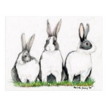 Art animal Postacard de "trois lapins" Carte Postale