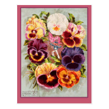 Art assez rose et pourpre de cru de pensées cartes postales