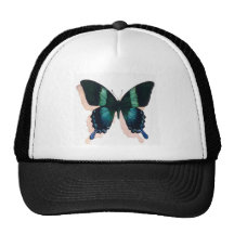 Art d'aquarelle d'insecte "de papillon bleu" casquettes