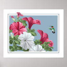 Art de colibri posters
