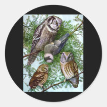 Art de hibou adhésif rond