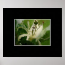 Art floral de lis blancs sur la copie de toile posters