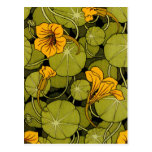 Art floral Nouvea de Maurice Pillard (dit Verneuil Cartes Postales