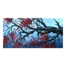 art japonais d'oriental d'arbre de fleur de fleurs photocarte customisée