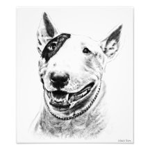 Art mignon de chien de bull-terrier photos d’art