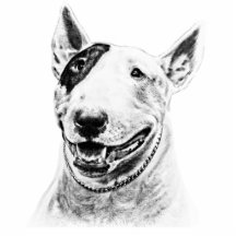 Art mignon de chien de bull-terrier photo en découpe
