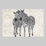 Art noir et blanc de Zeb et de Zenya posters