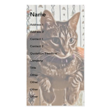 Art numérique mignon de Kitty Modèle De Carte De Visite