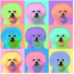 Art op - Bichon Frise Découpage En Acrylique