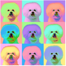 Art op - Bichon Frise Découpage En Acrylique