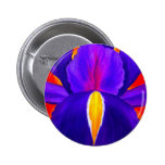 Art pourpre de peinture de fleur d'iris - multi badges avec agrafe