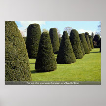 Art topiaire, Chambre de Packwood, le Warwickshire Poster