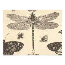Art vintage de libellule (détail) invitations personnalisées