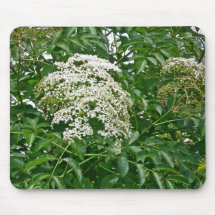 Articles coordonnés de baie de sureau commune tapis de souris