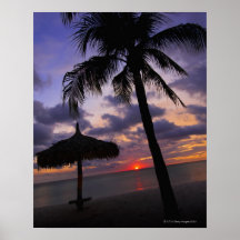 Aruba, silhouette de palmier et de palapa poster