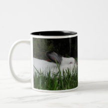 Ashton Mug