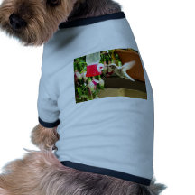 Asile de colibri t-shirt pour toutou