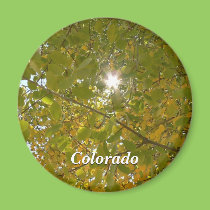 Aspen ensoleillée magnets