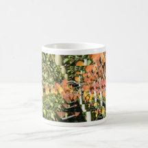 Aspen vibrante tasse