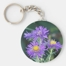 Asters d'automne porte-clef