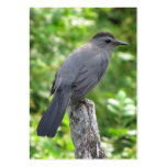 ATC de Catbird Cartes De Visite Personnelles