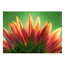 ATC de ~ de tournesol Cartes De Visite Personnelles