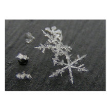 ATC de ~ du flocon 49 de neige Cartes De Visite Professionnelles