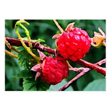 ATC de framboises sauvages Cartes De Visite Personnelles