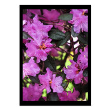 ATC de rhododendron Modèle De Carte De Visite