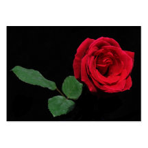 ATC simple de rose rouge Modèles De Cartes De Visite