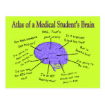 Atlas d'un cerveau #2 de l'étudiant en médecine carte postale