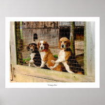 "Attendant pour tirer" la copie de beagle Affiches