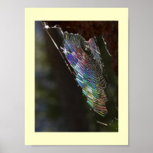 Attrapé dans l'imaginaire d'araignées affiches