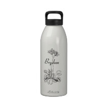 Attrape-mouche de Vénus carnivore vintage Bouteille