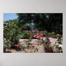 Au sol de jardin de bouton de Margie Affiche